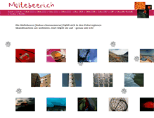 Tablet Screenshot of moltebeeri.ch